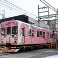 Photos: ピンクの忍者列車