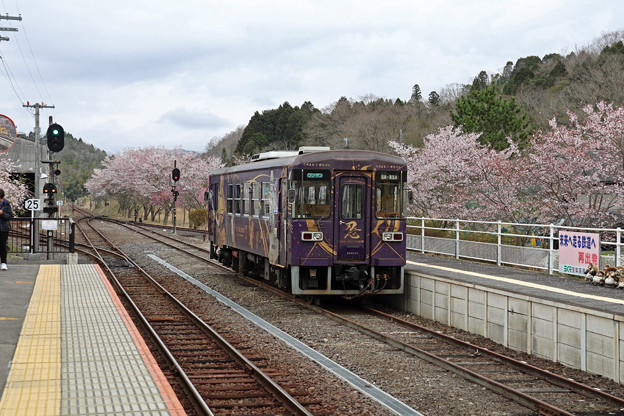 紫色のSHINOBI-TRAIN