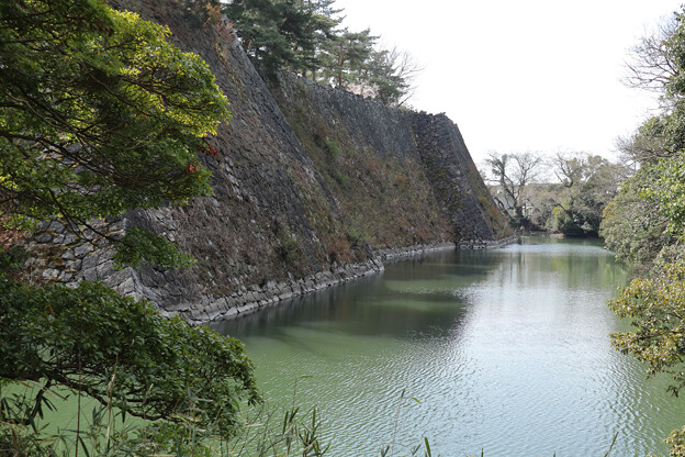 伊賀上野城高石垣