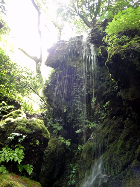 写真: 昇龍の滝