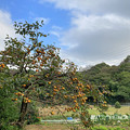 写真: 里山の秋