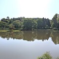 写真: 高松の池（釣堀）