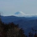２０２１年富幕山へ☆トミー今年２１回登頂
