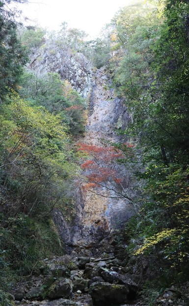 写真: 亀石の滝