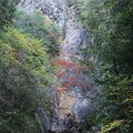 写真: 亀石の滝