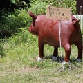 写真: 富幕山猪の平猪ペンキ塗り替え