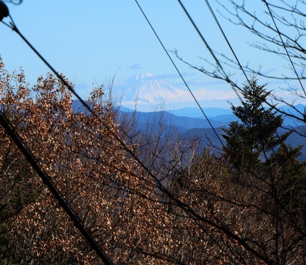 Photos: 富幕山登山道より富士山