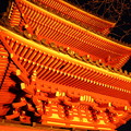 Photos: 奥山方広寺三重の塔ライトアップ