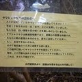 Photos: 以前富幕山に有ったヤマシャクヤク盗掘後の看板