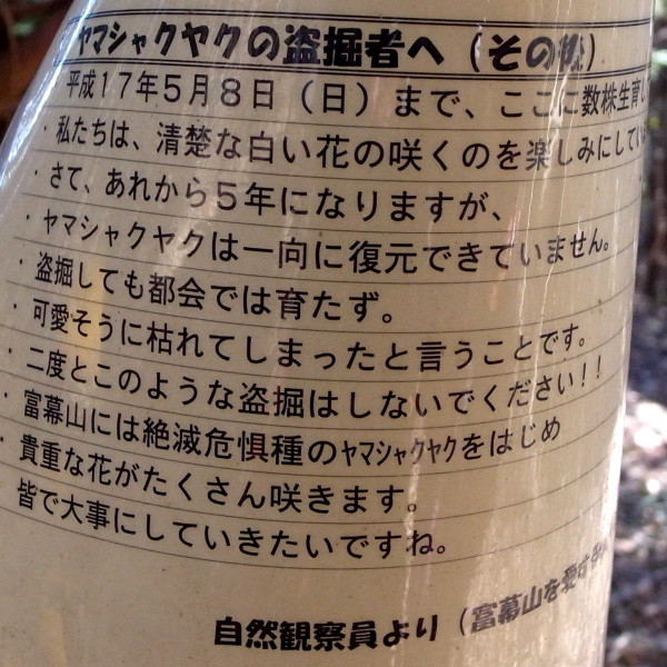 Photos: 以前富幕山で咲いていたヤマシャクヤク（山芍薬）ボタン科盗掘者への看板