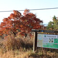 写真: 富幕山山頂紅葉