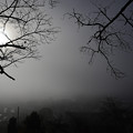 Photos: 霧の朝