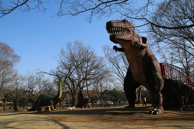 恐竜_公園 D7928