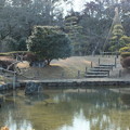 写真: 日本庭園_公園 F5337