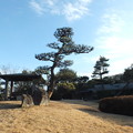 日本庭園_公園 F5341