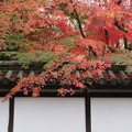 Photos: 南禅寺_京都 D2192