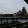 東福寺_京都 D2242