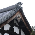 Photos: 東福寺_京都 D2243