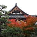 Photos: 東福寺_京都 D2255