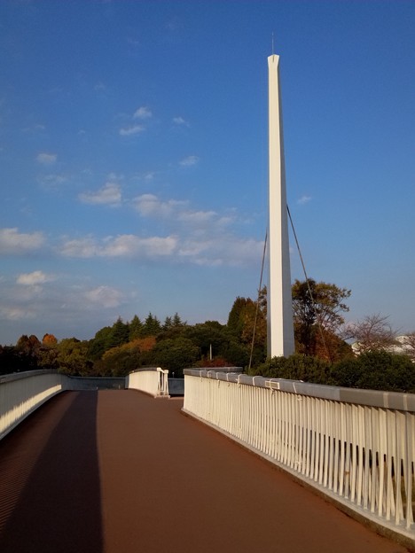 Photos: 横断歩道橋 K512