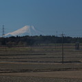 富士山_散歩 F5793