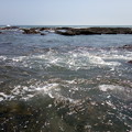 写真: 大洗海岸 K0629_5