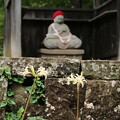 写真: 白い彼岸花と_弘経寺 D3863