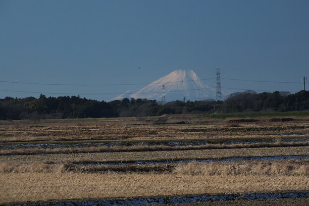 富士山_守谷 F6091