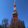 写真: 東京タワー D4595