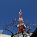 写真: 東京タワー_とうふ屋 D4608