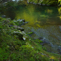 写真: 秋緑の渓谷