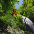 写真: 龍門の滝