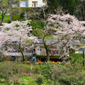写真: 春の家々