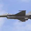 F-16 （86-0339 ）