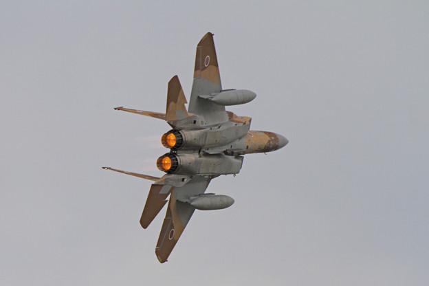 写真: F-15 アグレッサ（12-8076）