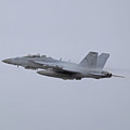 写真: アメリカ海軍 F-18