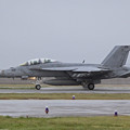 写真: アメリカ海軍 F-18