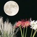 写真: ２０２１中秋の名月