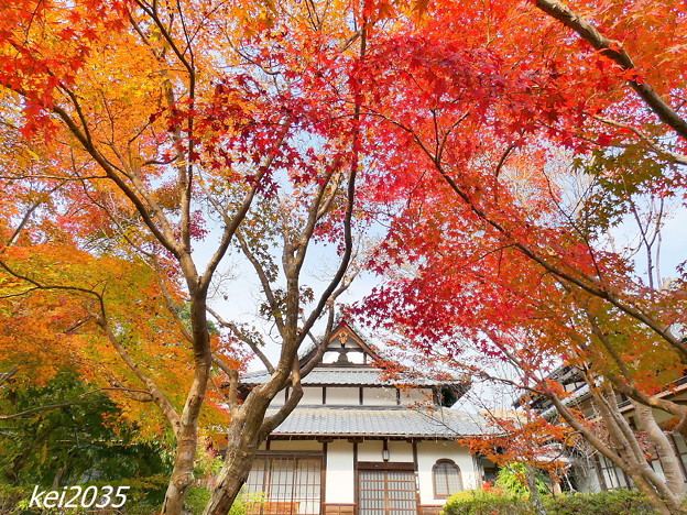 写真: 吉備寺の紅葉