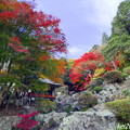 大滝山の紅葉