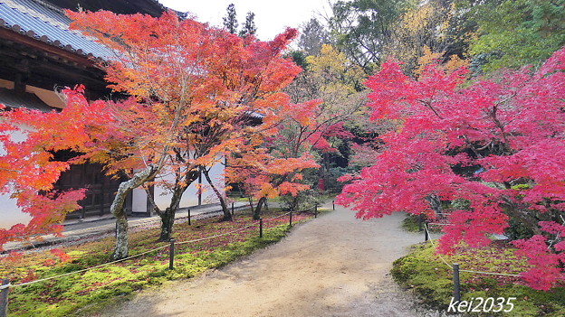 写真: 宝福寺の紅葉