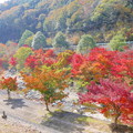 Photos: 八塔寺川の紅葉