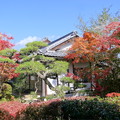 Photos: まきび公園の紅葉