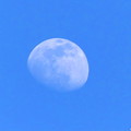 写真: 青空に月
