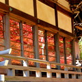 写真: 龍泉寺の紅葉