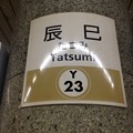 Y23 辰巳 Tatsumi