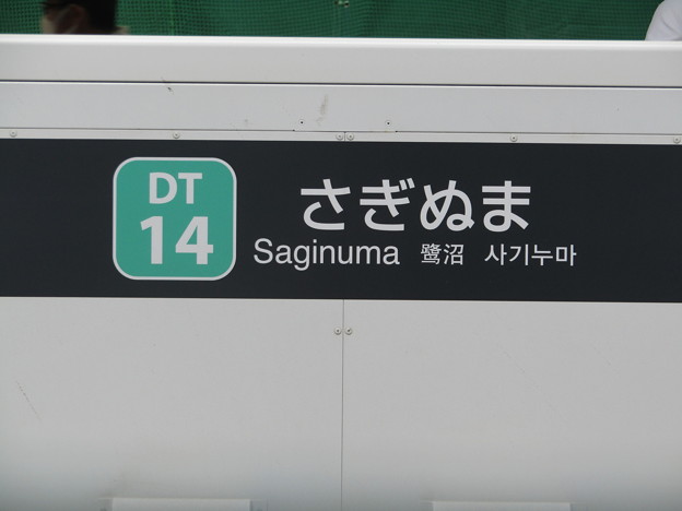 写真: DT14 鷺沼 Saginuma