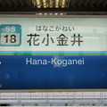 Photos: SS18 花小金井 Hana-Koganei