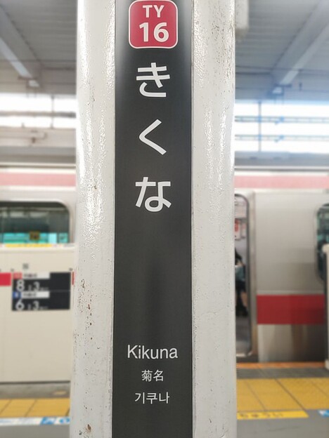 TY16 菊名 Kikuna