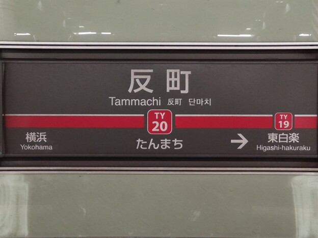 TY20 反町 Tammachi